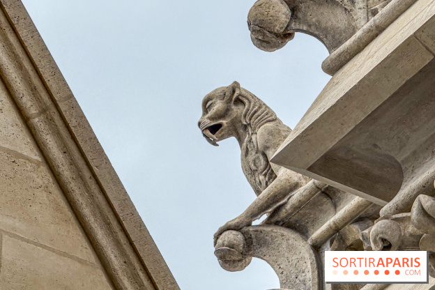 Visite des tours de Notre-Dame de Paris - IMG 7508