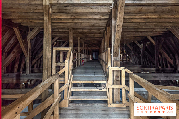 Visite des tours de Notre-Dame de Paris - IMG 7511