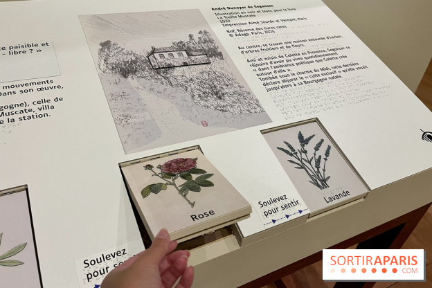 Les mondes de Colette - IMG 5323