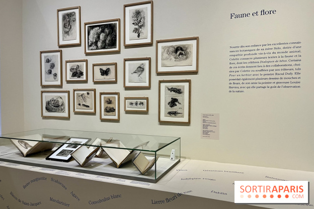 Les mondes de Colette - IMG 5332