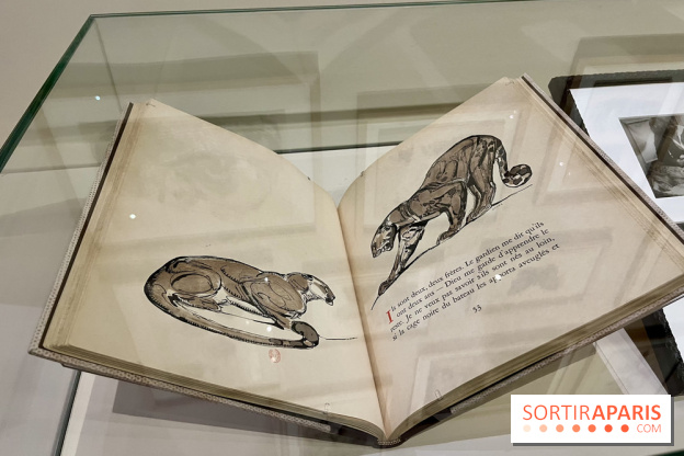 Les mondes de Colette - IMG 5333