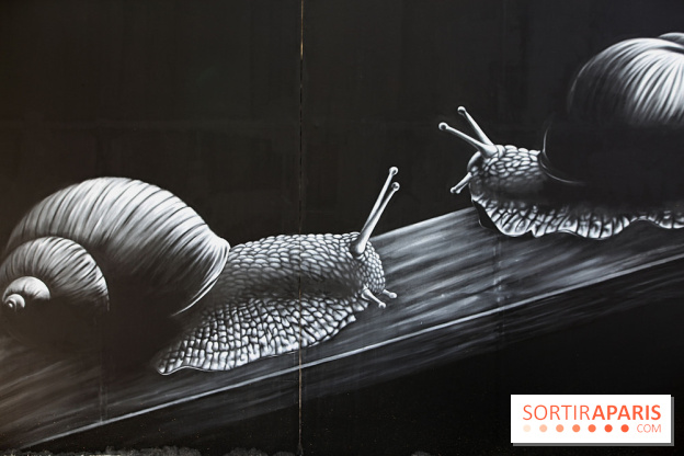 Festival de street art d'Antony 2025, nos photos 