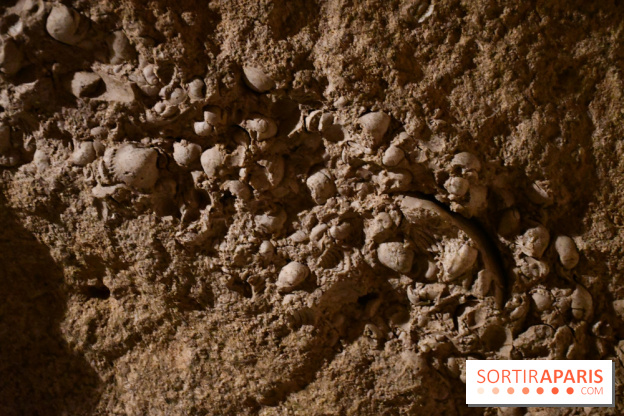 Les caves de Pontoise, visite des souterrains - DSC 5062