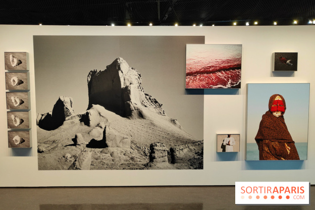 Honda Afshar, performer l'invisible : une exposition photo au musée du Quai Branly - fotor 1759154799777