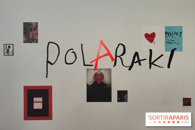 Polaraki, mille polaroids d'Araki Nobuyoshi : l'exposition du musée Guimet se dévoile