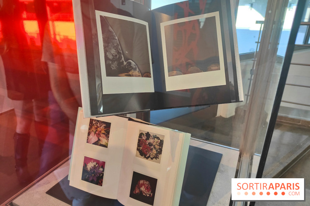 Polaraki, mille polaroids d'Araki Nobuyoshi : l'exposition du musée Guimet se dévoile