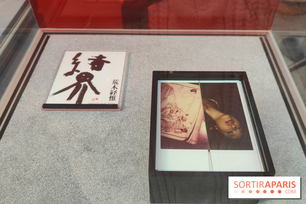 Polaraki, mille polaroids d'Araki Nobuyoshi : l'exposition du musée Guimet se dévoile - fotor 1759249527307