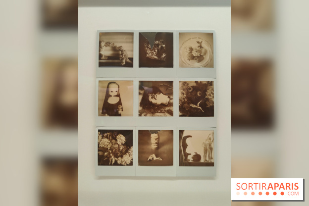 Polaraki, mille polaroids d'Araki Nobuyoshi : l'exposition du musée Guimet se dévoile