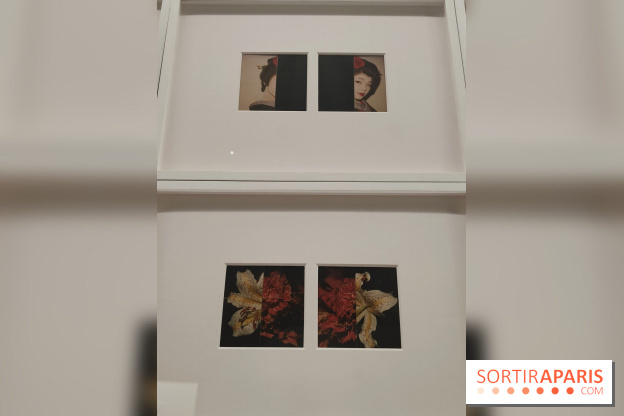 Polaraki, mille polaroids d'Araki Nobuyoshi : l'exposition du musée Guimet se dévoile