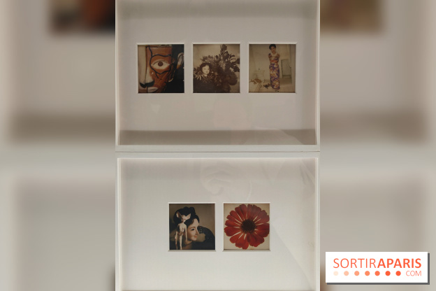 Polaraki, mille polaroids d'Araki Nobuyoshi : l'exposition du musée Guimet se dévoile - fotor 1759249674126