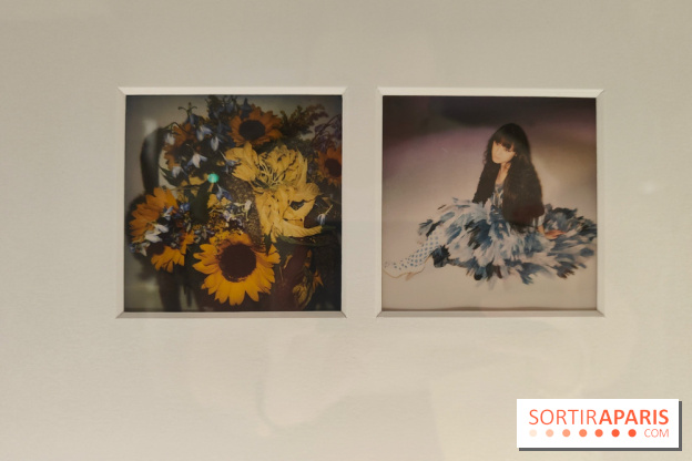 Polaraki, mille polaroids d'Araki Nobuyoshi : l'exposition du musée Guimet se dévoile