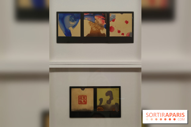 Polaraki, mille polaroids d'Araki Nobuyoshi : l'exposition du musée Guimet se dévoile - fotor 1759249727646