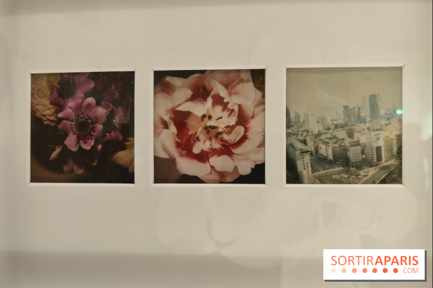 Polaraki, mille polaroids d'Araki Nobuyoshi : l'exposition du musée Guimet se dévoile - fotor 1759249760856