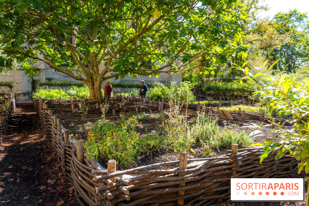 Le brunch à volonté de l'Abbaye de Royaumont - A7C08415