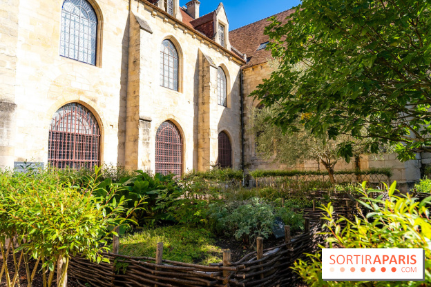 Les spectacles du dimanche de l'Abbaye de Royaumont dans le Val-d'Oise - A7C08416