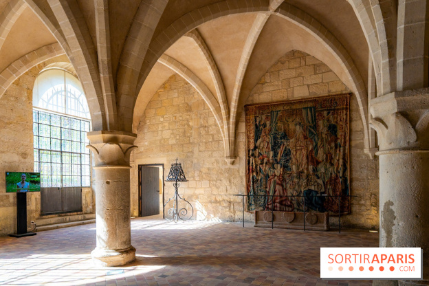 Les spectacles du dimanche de l'Abbaye de Royaumont dans le Val-d'Oise - A7C08418