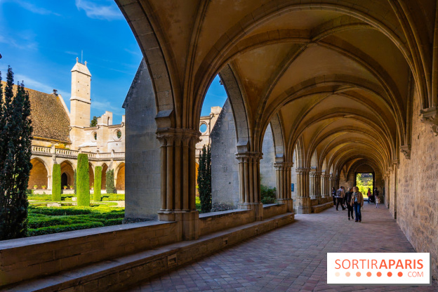 Les spectacles du dimanche de l'Abbaye de Royaumont dans le Val-d'Oise - A7C08374