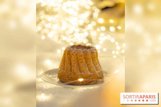la Bûche de Noêl du Mandarin Oriental Lutetia aux Lumières de Paris