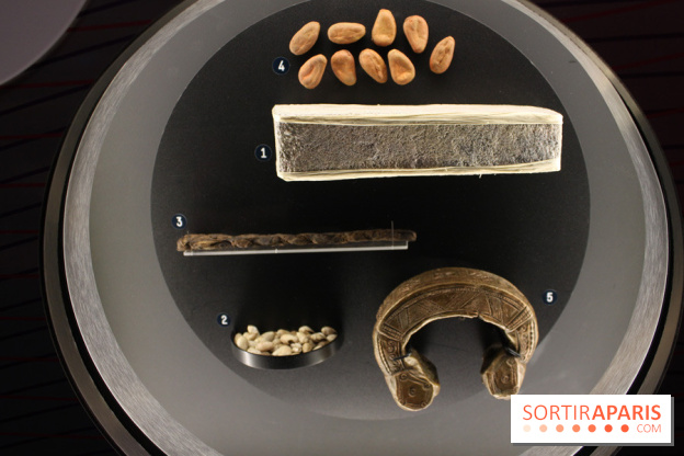 Monnaie primitive - L'Expo l'Economie : krach, boom, mue à la Cité des Sciences