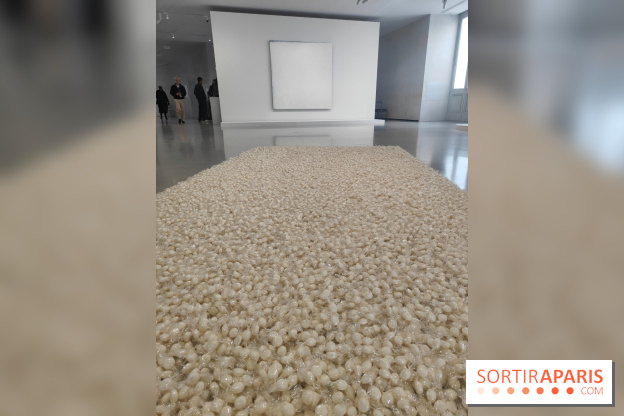 Minimal, quand l'art va à l'essentiel : l'exposition de la Bourse de Commerce se dévoile