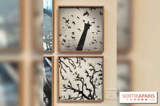 Gaston Paris - L'équilibre du carré : l'exposition photo gratuite de la galerie Roger-Viollet - fotor 1760012037148