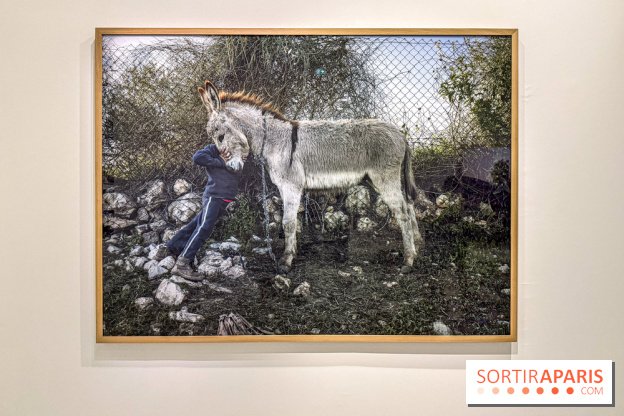 Exposition Luc Delahaye au Jeu de Paume : la grande rétrospective à ne pas manquer