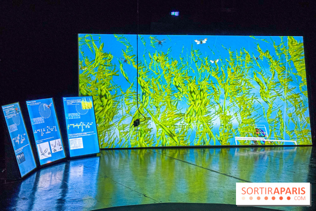 Exposition Les Illusions retrouvées au CENTQUATRE-Paris : les nouvelles utopies de l’ère numérique - IMG 9245