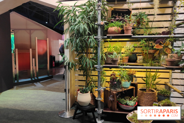 Jardiner : une exposition au cœur de la nature à vivre à la Cité des Sciences et de l'Industrie - fotor 1760436586968