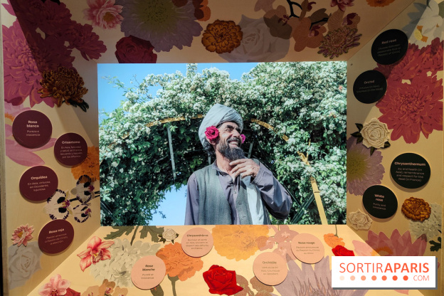 Jardiner : une exposition au cœur de la nature à vivre à la Cité des Sciences et de l'Industrie - fotor 1760436712730