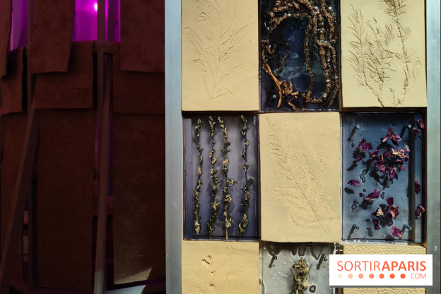 Jardiner : une exposition au cœur de la nature à vivre à la Cité des Sciences et de l'Industrie - fotor 1760436815036