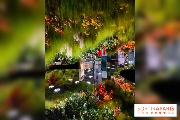 Jardiner : une exposition au cœur de la nature à vivre à la Cité des Sciences et de l'Industrie