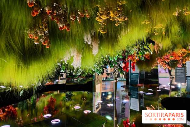 Jardiner : une exposition au cœur de la nature à vivre à la Cité des Sciences et de l'Industrie - fotor 1760436885761