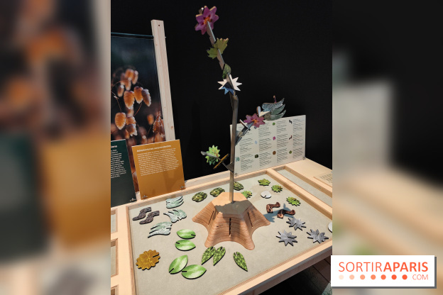 Jardiner : une exposition au cœur de la nature à vivre à la Cité des Sciences et de l'Industrie - fotor 1760436899949