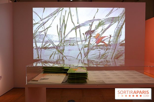 Isao Takahata - Pionnier du dessin animé contemporain, de l’après-guerre au Studio Ghibli, nos photos de l'expo