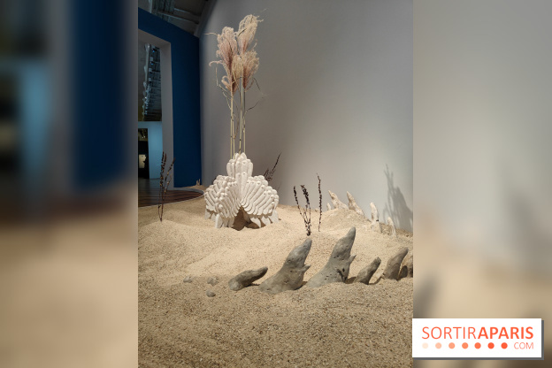 Migrations et climat : une exposition instructive au Palais de la Porte Dorée, nos photos