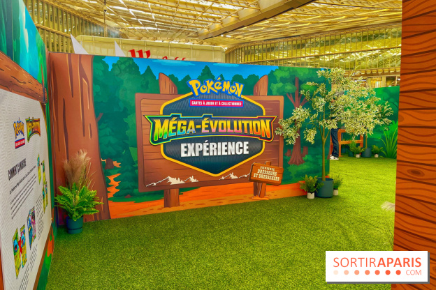 Pop-up Pokémon - IMG 6788