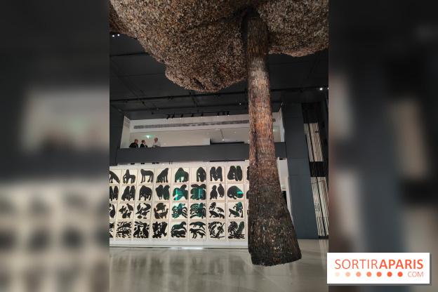 Exposition Générale : la Fondation Cartier raconte 40 ans d'expositions pour sa réouverture - fotor 1760961000607