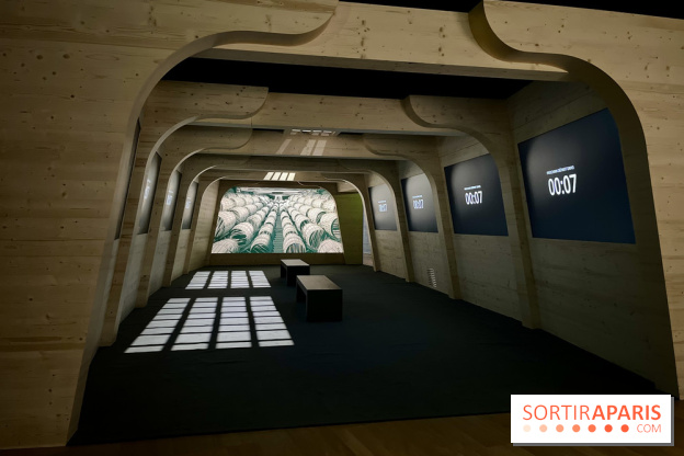 Dans le sillage de Magellan - IMG 6866