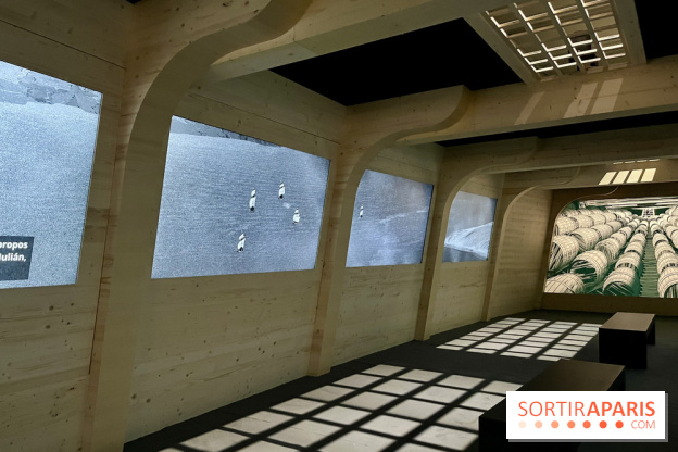 Dans le sillage de Magellan - IMG 6871