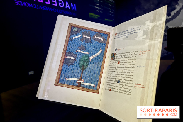 Dans le sillage de Magellan - IMG 6904