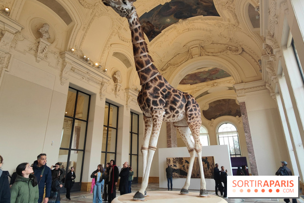 Art Basel 2025 : des installations d'art contemporain originales et gratuites à voir au Petit Palais - fotor 1761044760630