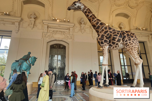 Art Basel 2025 : des installations d'art contemporain originales et gratuites à voir au Petit Palais - fotor 1761044776283