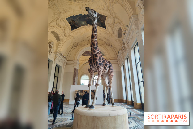 Art Basel 2025 : des installations d'art contemporain originales et gratuites à voir au Petit Palais - fotor 1761044796009