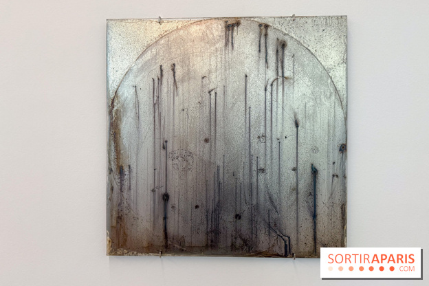 Ciel clair / eaux troubles : l’exposition de Steffani Jemison à Lafayette Anticipations à Paris - IMG 0039