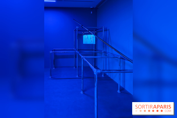 Ciel clair / eaux troubles : l’exposition de Steffani Jemison à Lafayette Anticipations à Paris - IMG 0048