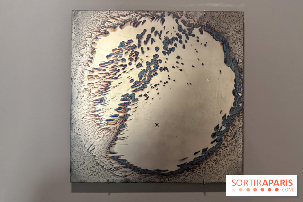 Ciel clair / eaux troubles : l’exposition de Steffani Jemison à Lafayette Anticipations à Paris - IMG 0066