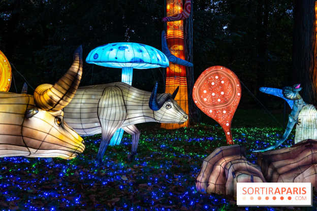 Thoiry Lumières Sauvages 2025 : le Bal des Esprits - A7C09479