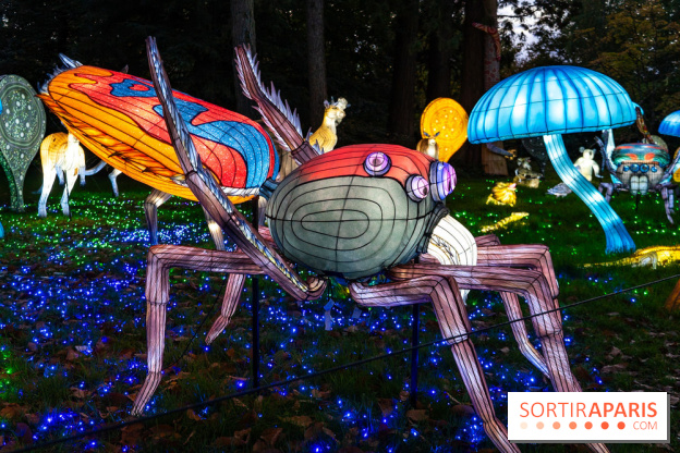 Thoiry Lumières Sauvages 2025 : le Bal des Esprits - A7C09480