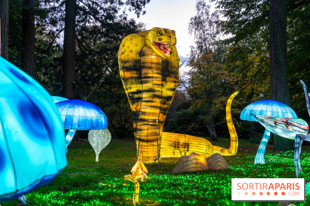 Thoiry Lumières Sauvages 2025 : le Bal des Esprits