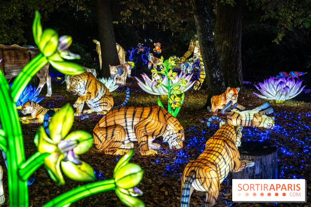 Thoiry Lumières Sauvages 2025 : le Bal des Esprits - A7C09485